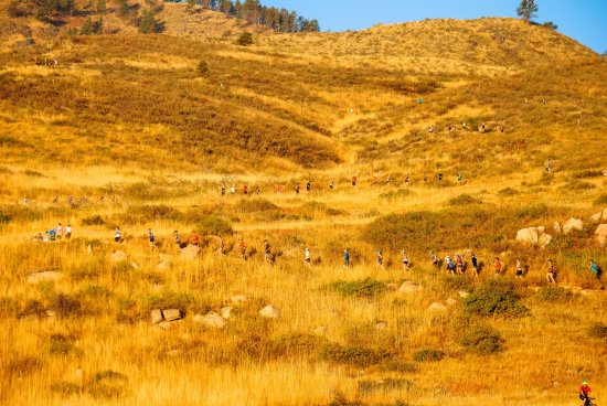 Black Squirrel 2018 - going up Timber - Terry Greenwelge